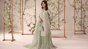 Silk Dresses in Pakistan: A Comprehensive Overview