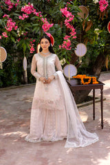 ZR-2548 | BLUSH PINK