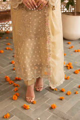 ZR-2546 | SILK STONE