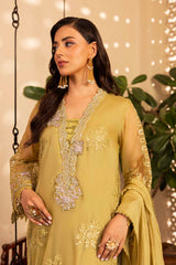 ZR-2544 | LIME FIZZ
