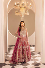 ZR-2588 | OMBRE PLUM