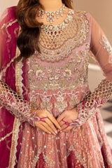 ZR-2588 | OMBRE PLUM