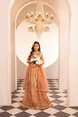 ZR-2588 | OMBRE PEACH