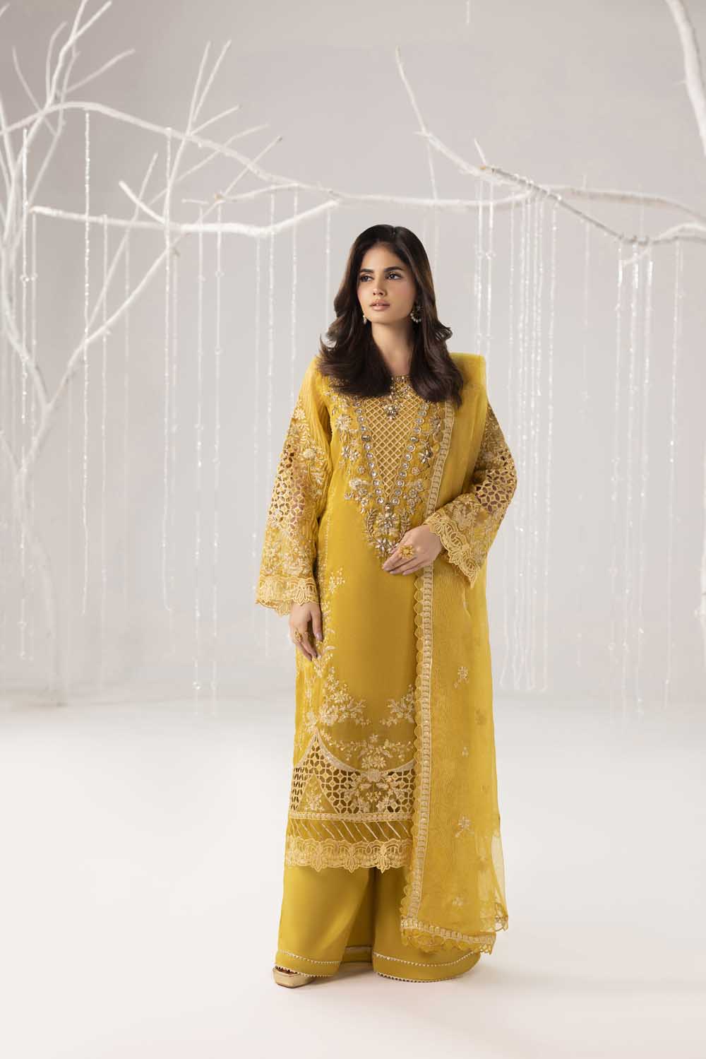 ZR-2562 | DHAANI Zahra Rubab