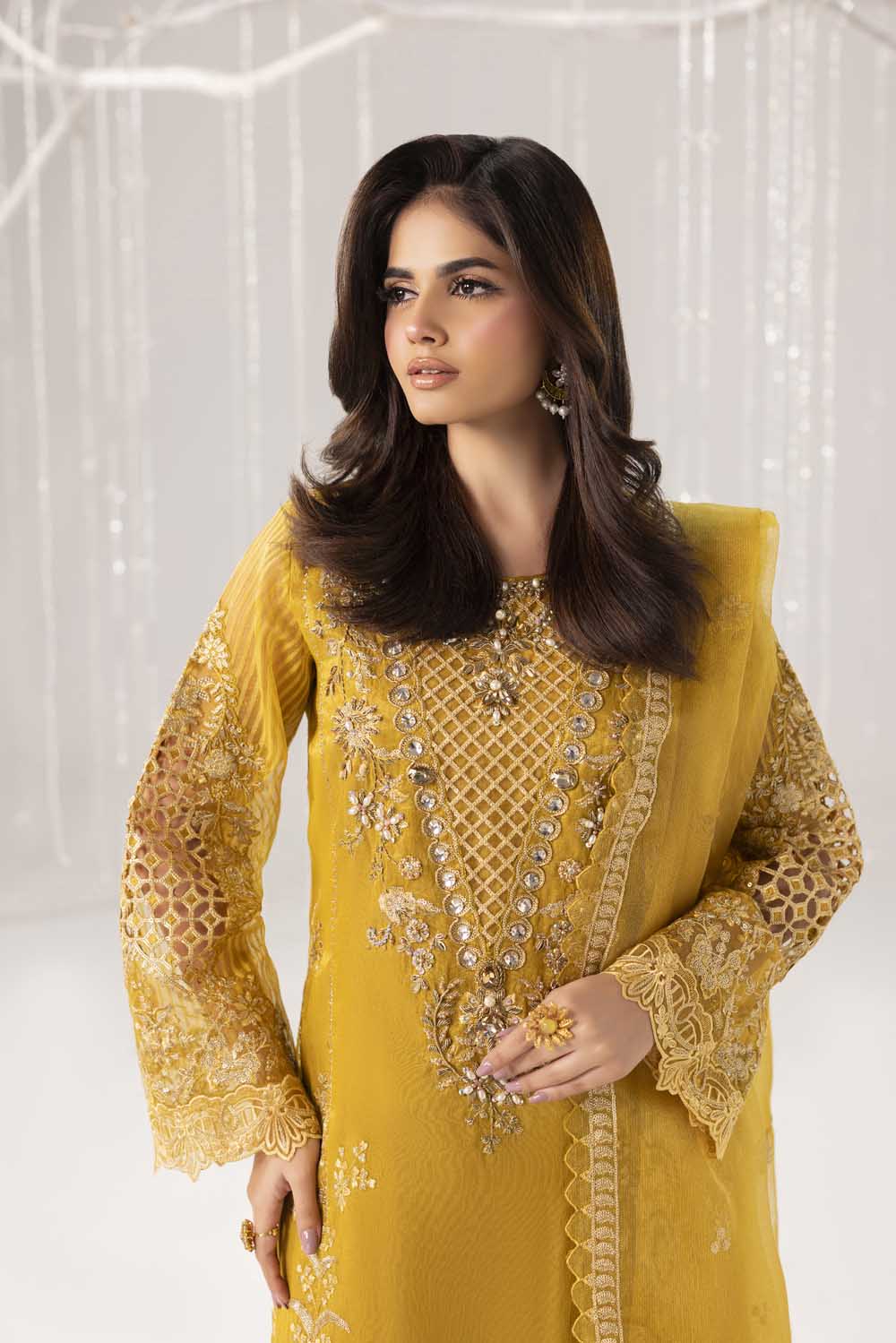 ZR-2562 | DHAANI Zahra Rubab
