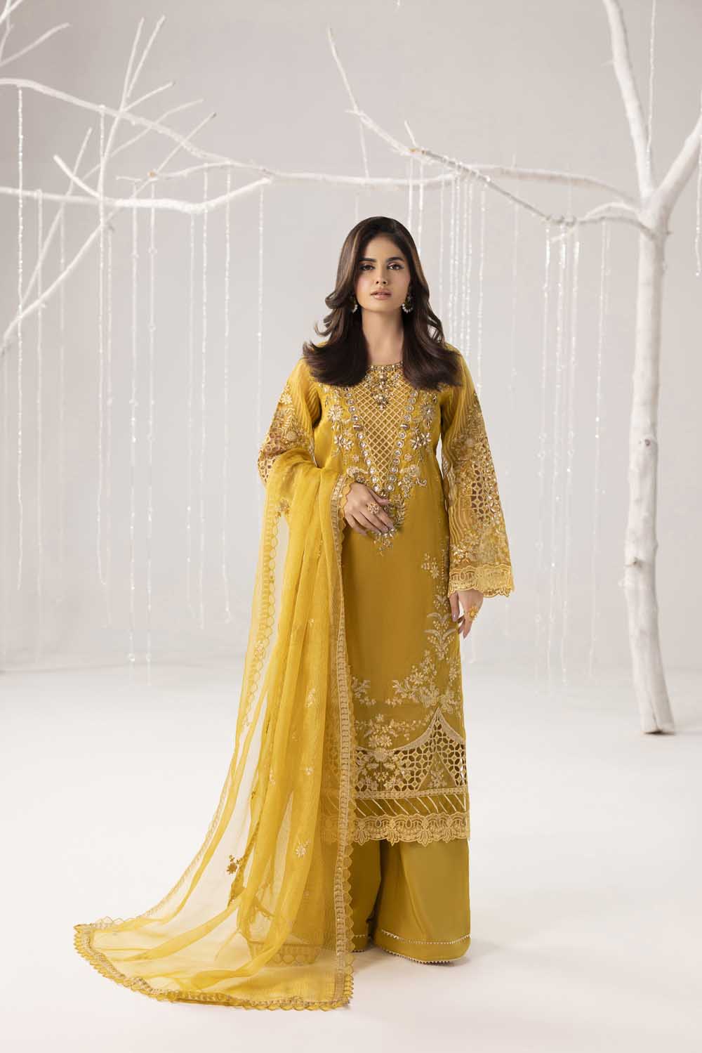ZR-2562 | DHAANI Zahra Rubab