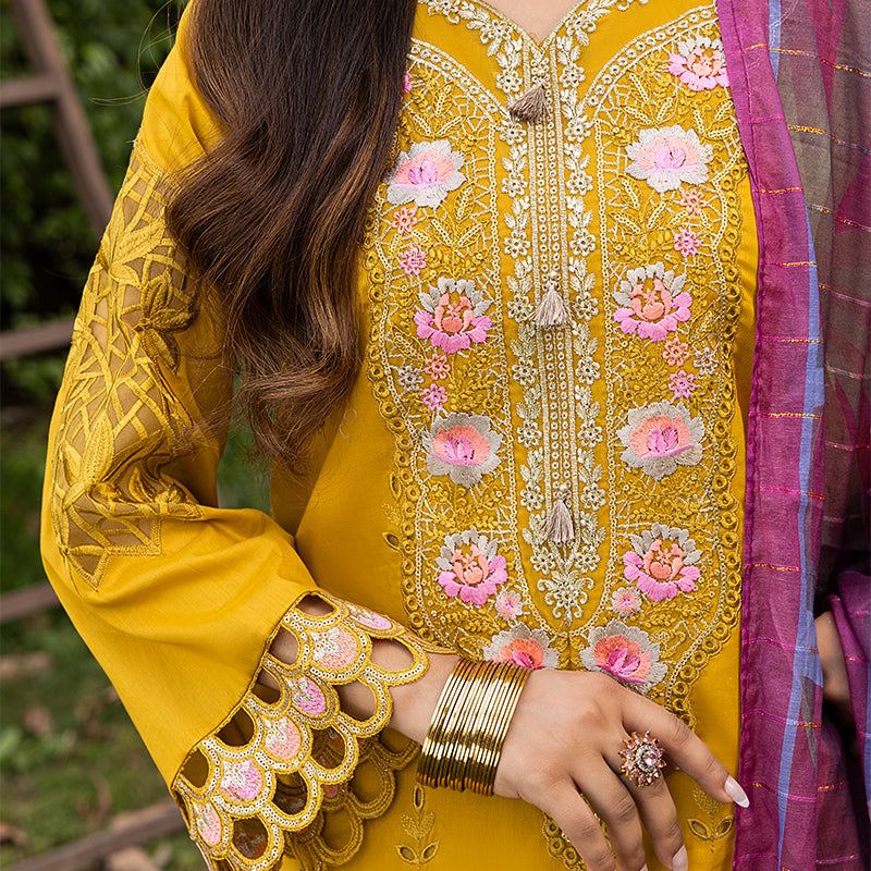 ZR-2522 | AMBER Zahra Rubab