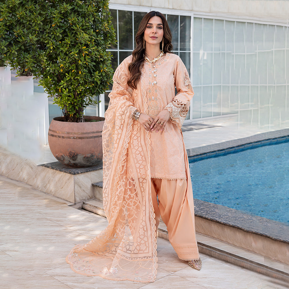 ZR-2535 | ZINNIA Zahra Rubab