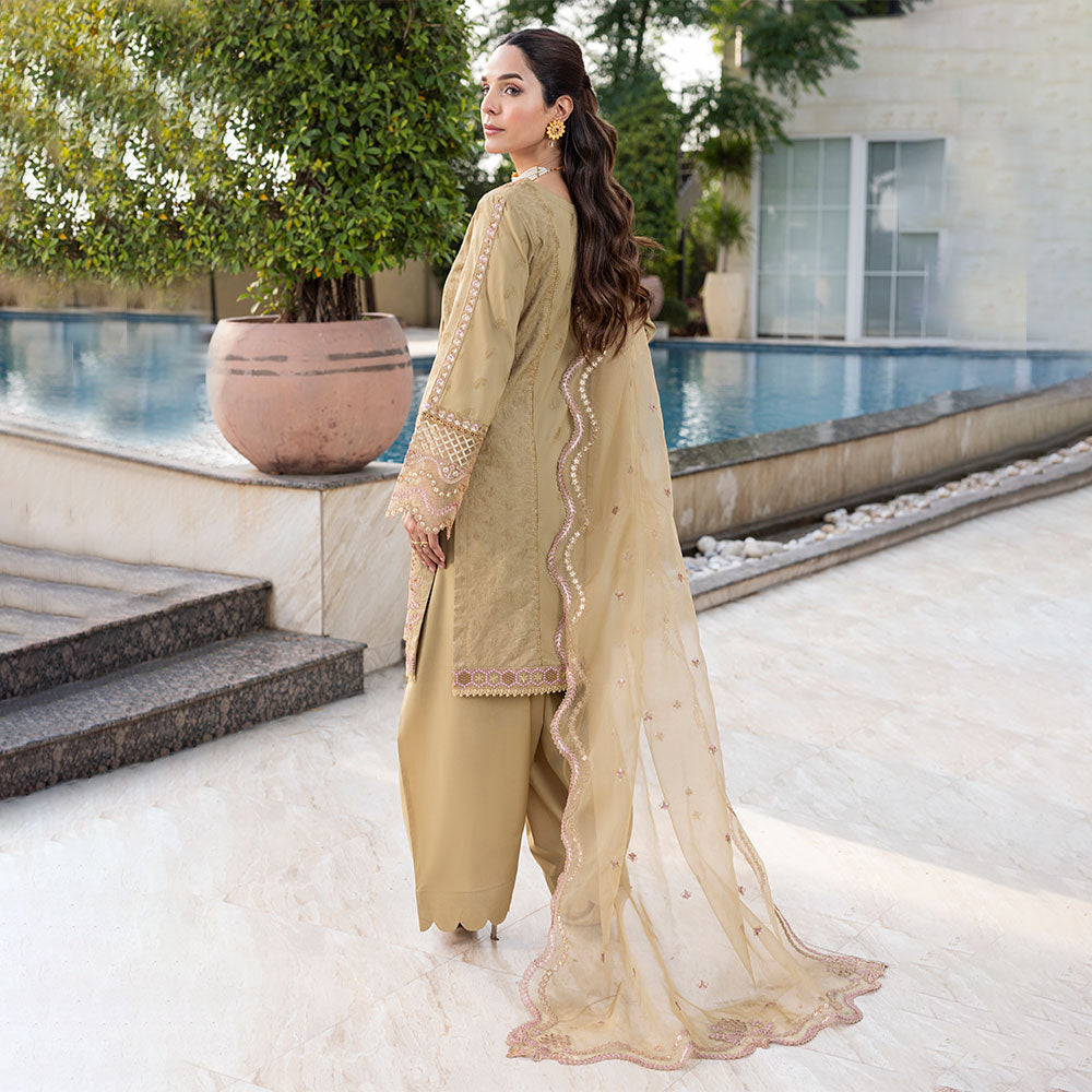 ZR-2534 | ZIRCON Zahra Rubab