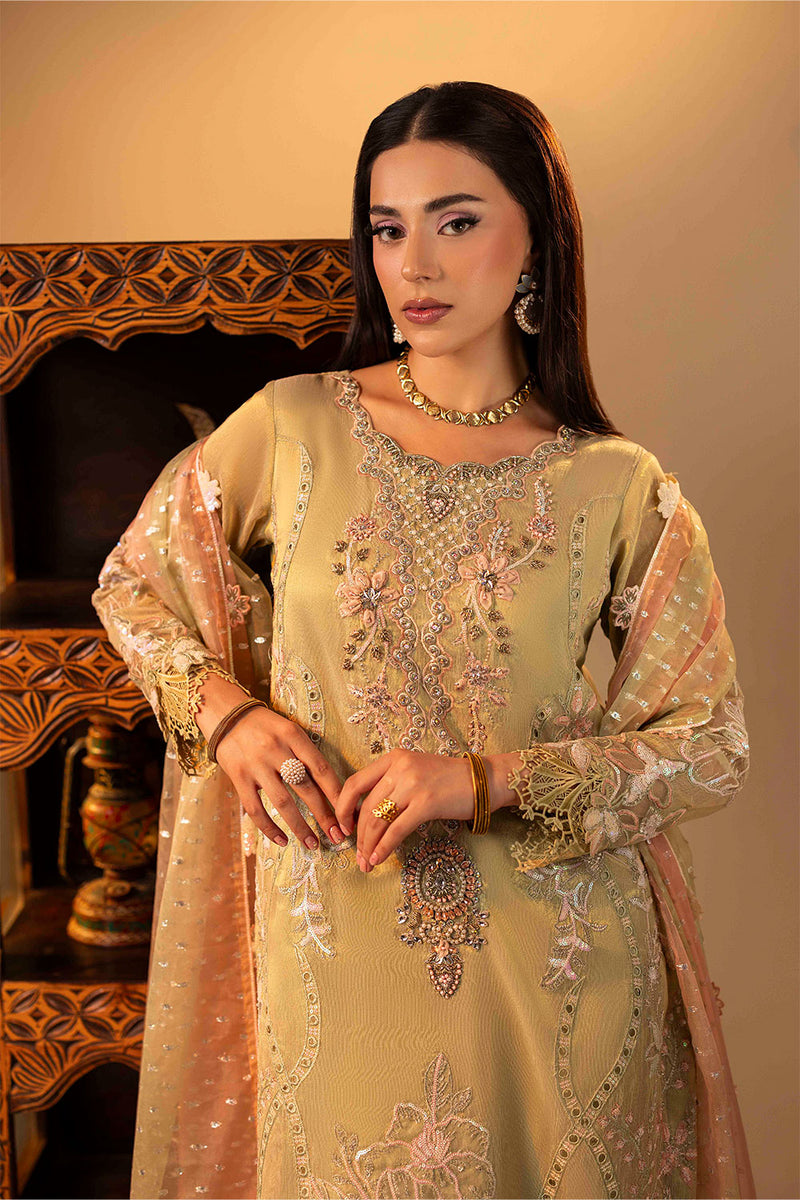 ZR-2543 | AMELIA