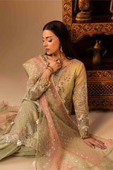 ZR-2543 | AMELIA