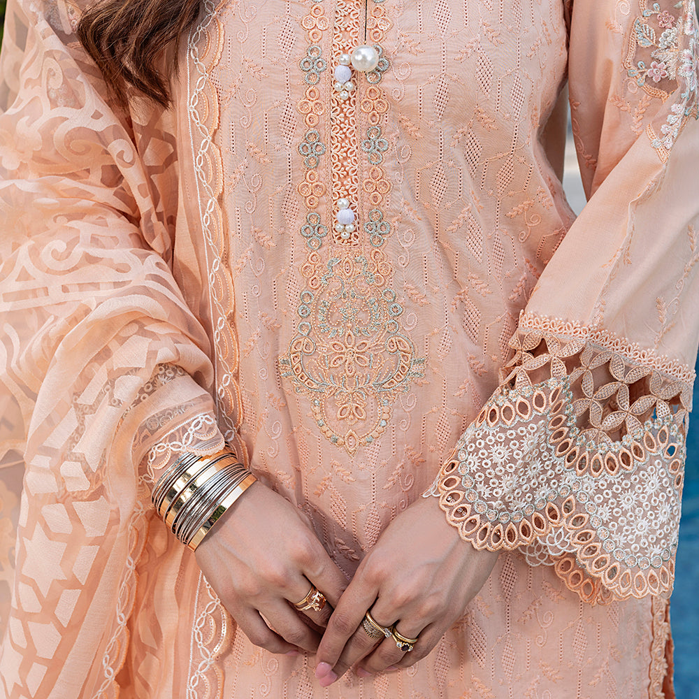 ZR-2535 | ZINNIA Zahra Rubab