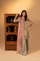 ZR-2543 | CLARA