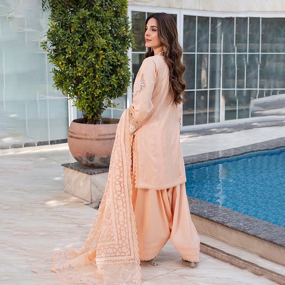 ZR-2535 | ZINNIA Zahra Rubab