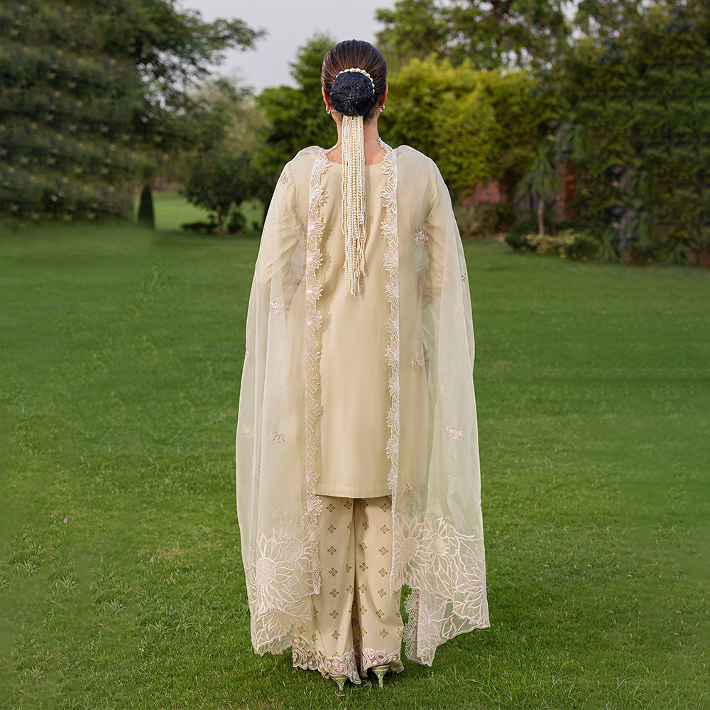 ZR-2533 | SAPPHIRE Zahra Rubab