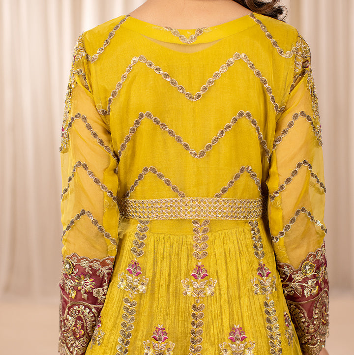 ZR-2452 | DHAANI Zahra Rubab