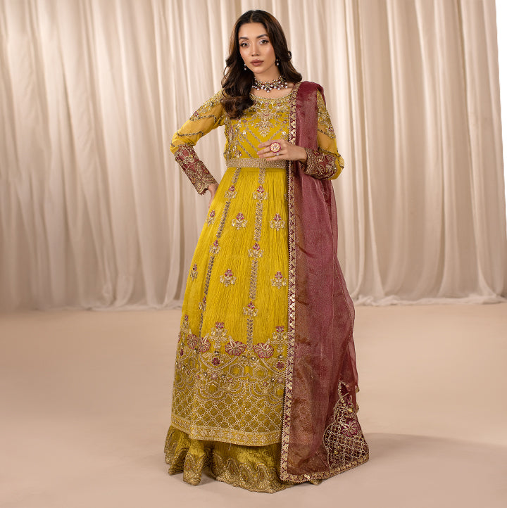 ZR-2452 | DHAANI Zahra Rubab