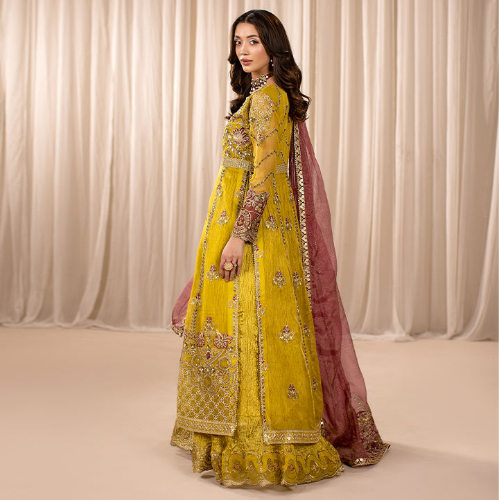 ZR-2452 | DHAANI Zahra Rubab