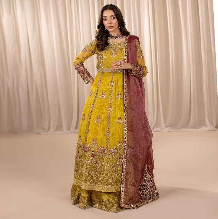 ZR-2452 | DHAANI
